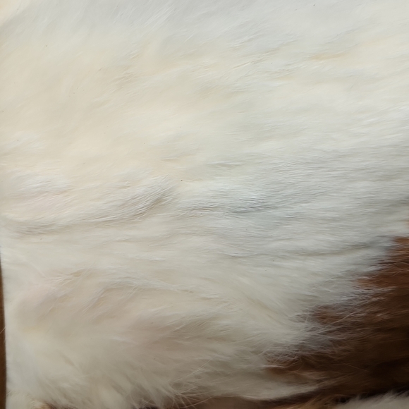 Vintage Just Fur Fun Coat - Picture 5 of 16